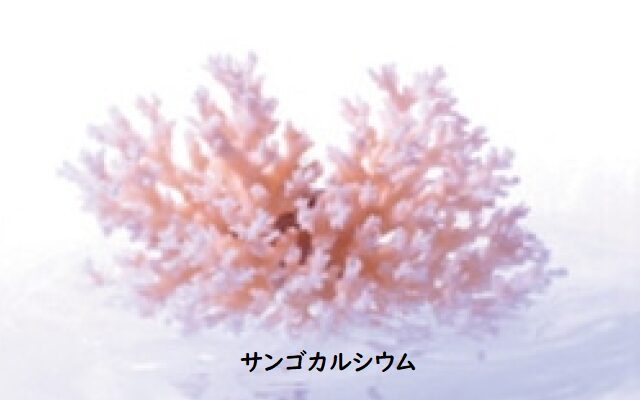 ハイドロプラス 水素+αで元気にエイジングケア - 画像 (8)